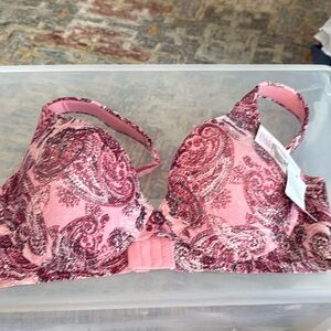 Jessica Simpson Pink Burgundy Paisley NWT Bra Size 40C